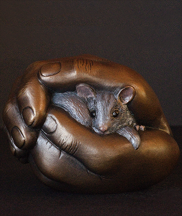 wildcompassion1