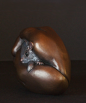 wildcompassion3