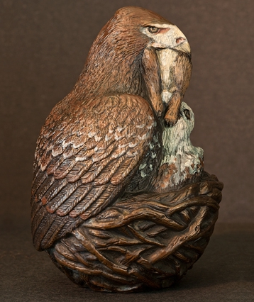 art_wedgetailedeagle_04