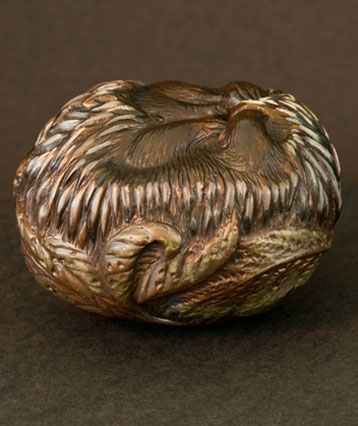 art_echidna_04