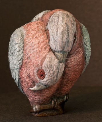 art_galahs_01
