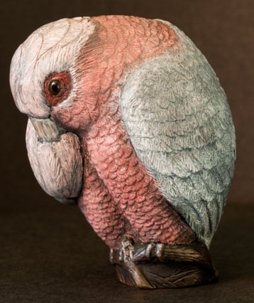 art_galahs_03