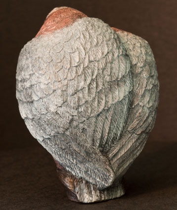 art_galahs_04
