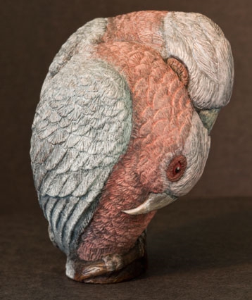 art_galahs_05