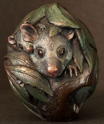 art_bushtailpossum_01