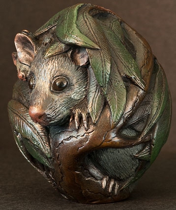 art_bushtailpossum_02