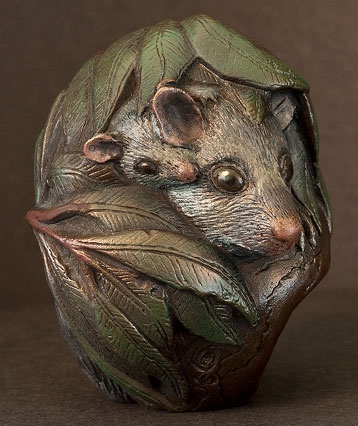 Common Brushtail Possum