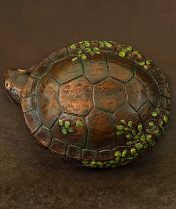 art_snakenturtle_06