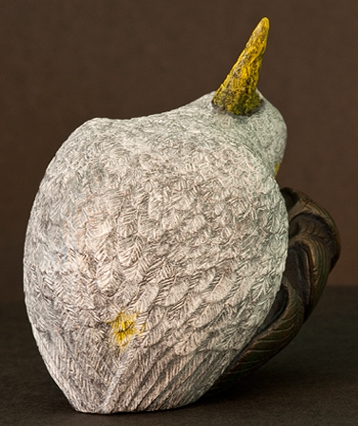 art_sulphurcrestcockatoo_02