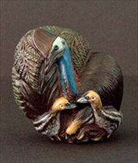 Cassowary
