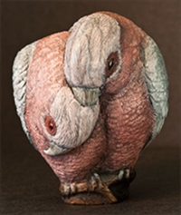 Galahs