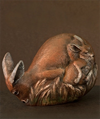 Red Kangaroo