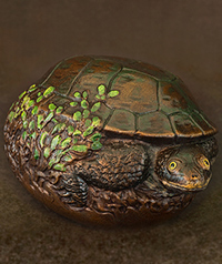 Common Snake-Necked Turtle